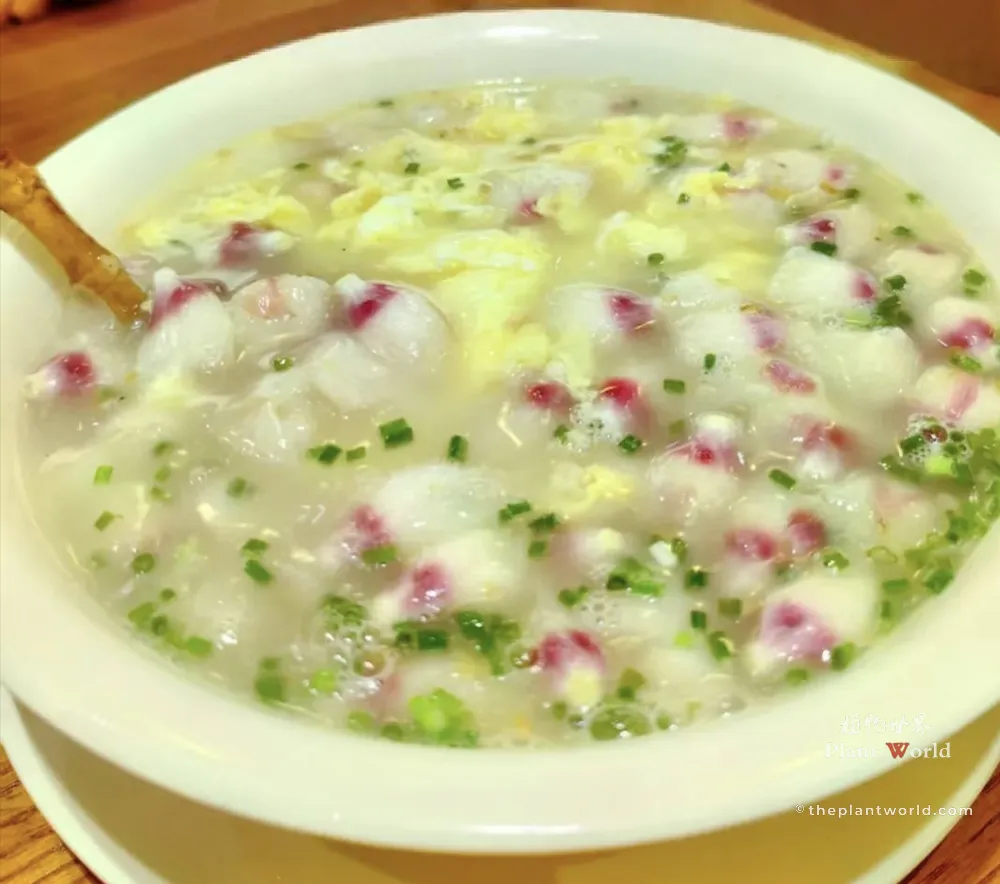 A bowl of traditional Chinese soup made with edible Rose of Sharon (Hibiscus syriacus) petals, scrambled eggs, and green onions.