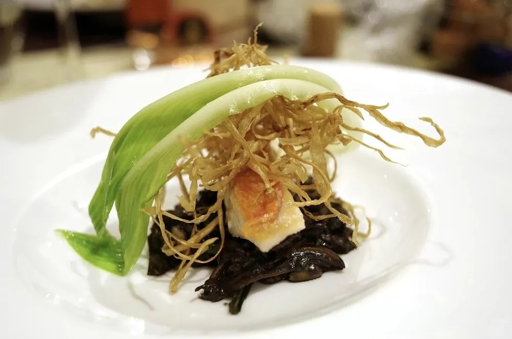 An elegant gourmet dish featuring edible hosta plant parts, showcasing creative culinary uses of Hosta plantaginea on a white plate.