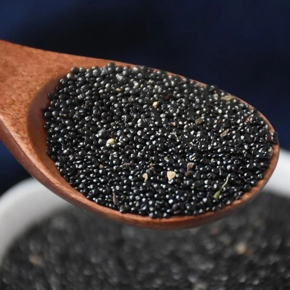 Glossy black seeds of Celosia argentea, known in traditional Chinese medicine as Qingxiangzi (青葙子), collected from Silver Cockscomb.