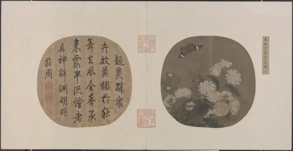 A Song Dynasty round silk fan painting depicting delicate white and pink chrysanthemums with a fluttering butterfly, alongside classical calligraphy.