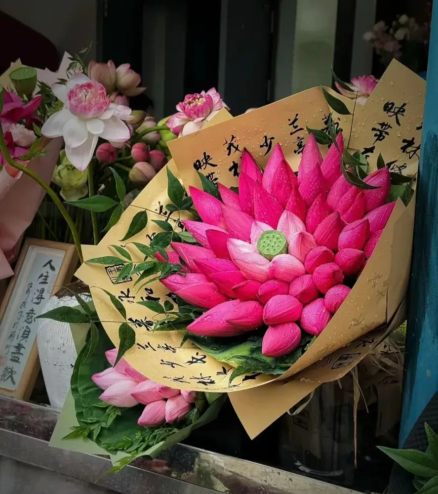Pink Lotus flower Nelumbo nucifera bouquet wrapped in paper