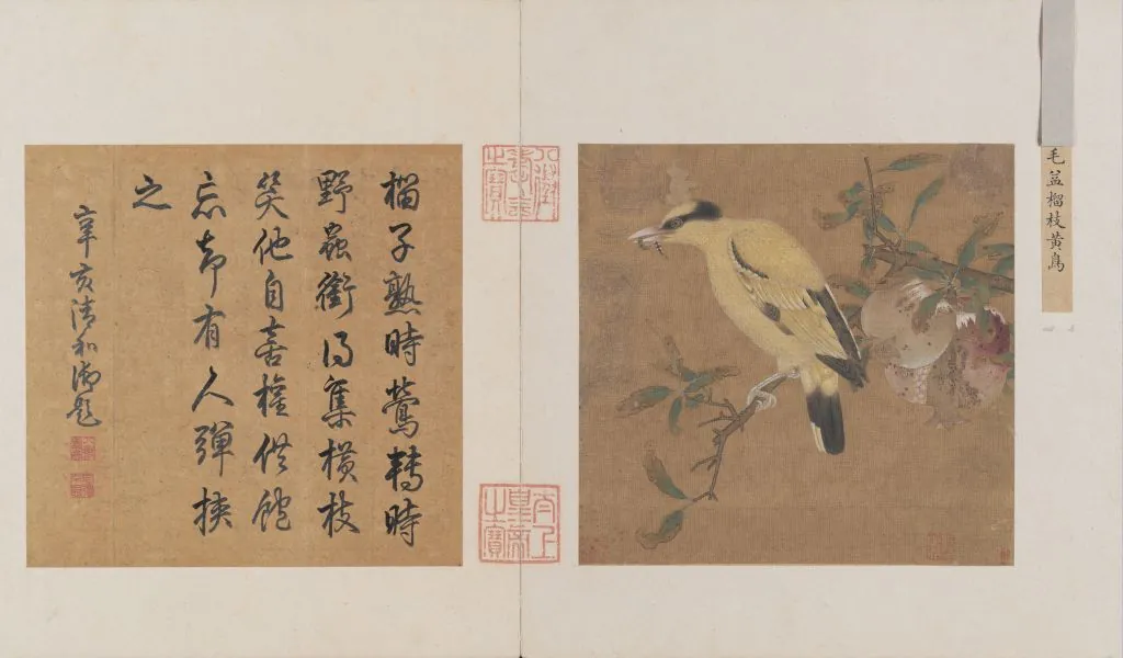 Liu Zhi Huang Niao Tu, Song dynasty painting with split pomegranate fruit, collected in the Palace Museum Beijing